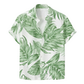 Solara Isle - Ashen Leaf